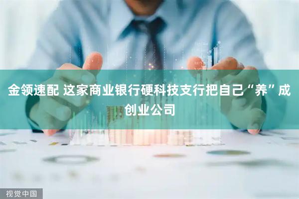 金领速配 这家商业银行硬科技支行把自己“养”成创业公司