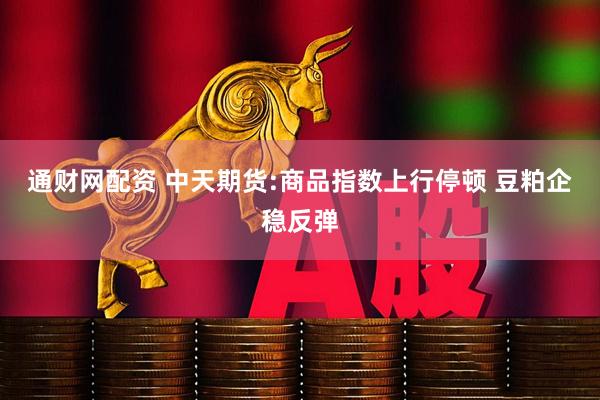 通财网配资 中天期货:商品指数上行停顿 豆粕企稳反弹