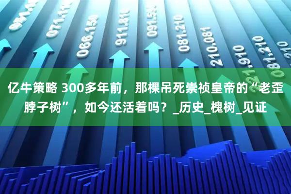 亿牛策略 300多年前，那棵吊死崇祯皇帝的“老歪脖子树”，如今还活着吗？_历史_槐树_见证