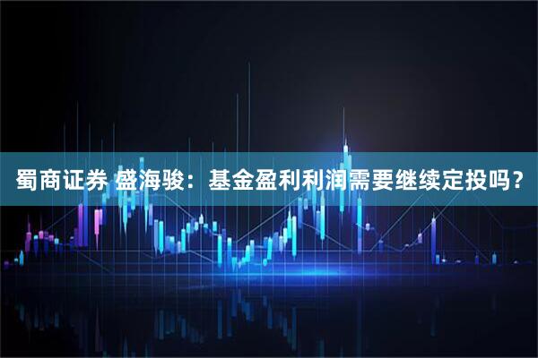 蜀商证券 盛海骏:基金盈利利润需要继续定投吗?