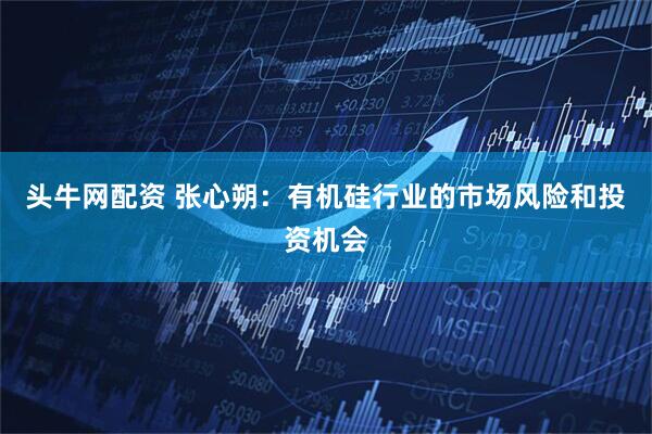 头牛网配资 张心朔：有机硅行业的市场风险和投资机会
