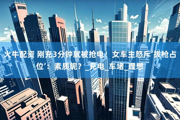 火牛配资 刚充3分钟就被抢电！女车主怒斥‘拔枪占位’：素质呢？_充电_车堵_理想