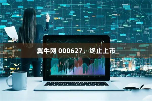 翼牛网 000627，终止上市